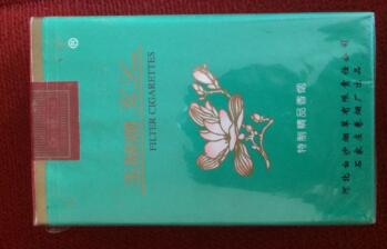 自建房室外烟道安装图片(自建房烟道设计图)