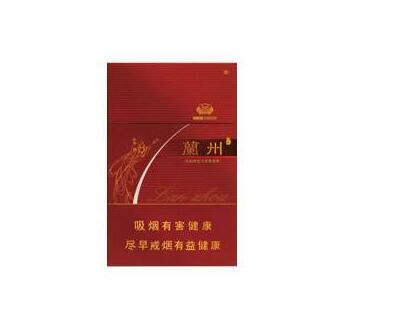 除外烟雾病是什么意思