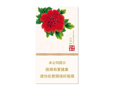 高档白沙香烟一手货源